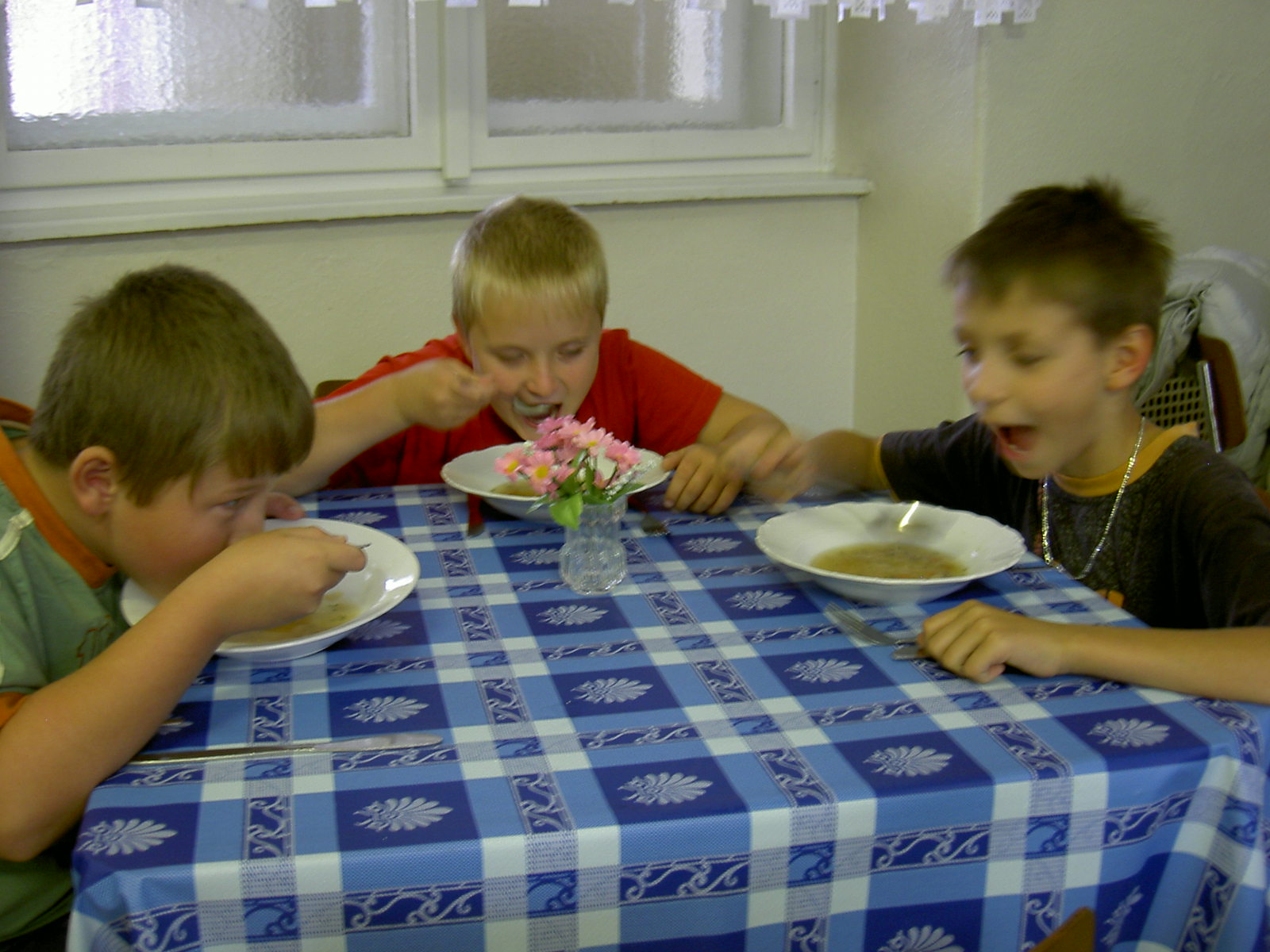 PICT8335.JPG