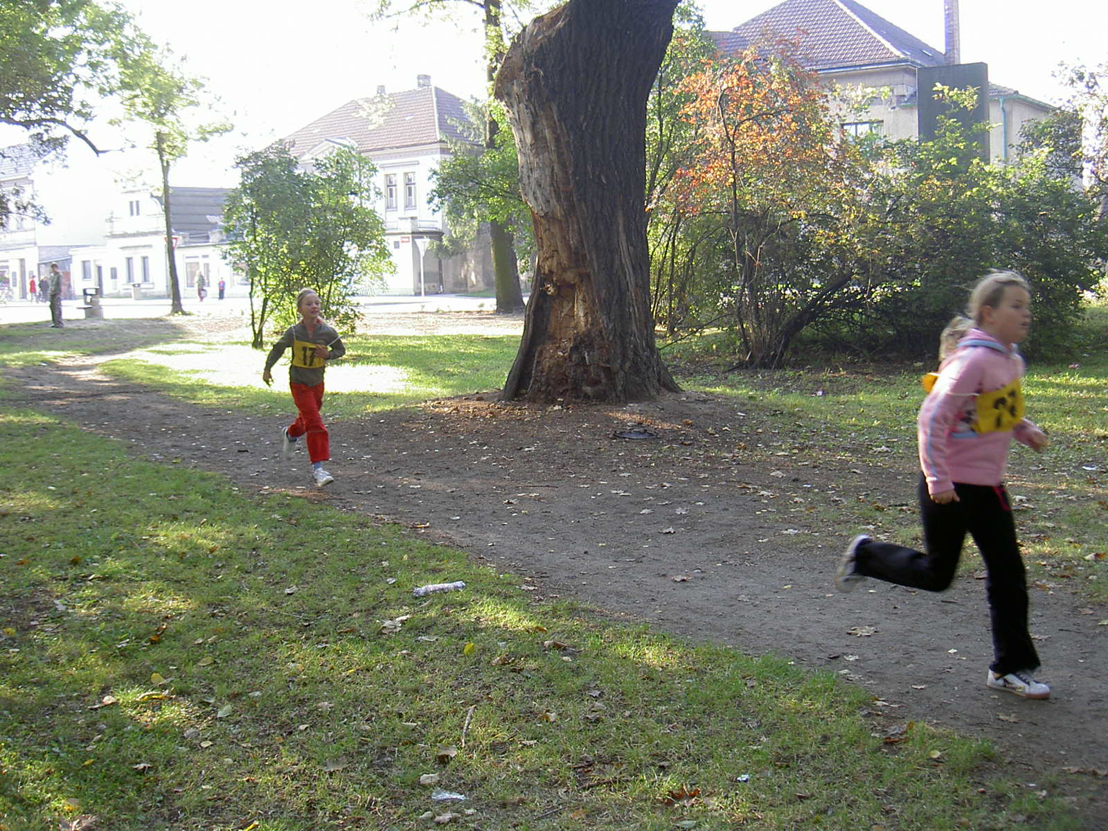 PICT8382.JPG